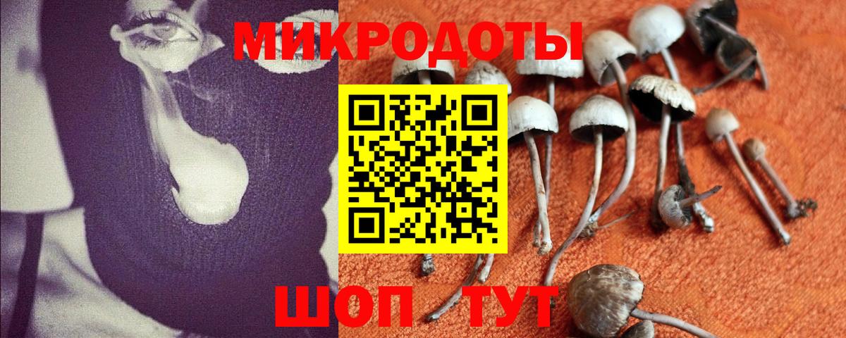 Галлюциногенные грибы прущие грибы Холмск